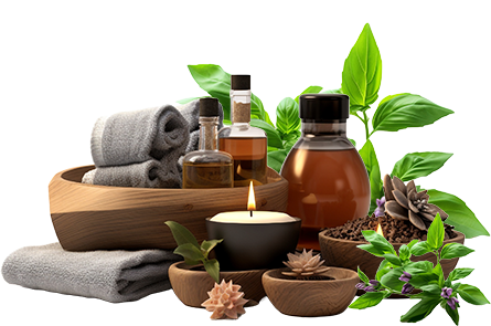 Best kerala Ayurvedic treatments in Kolli hills